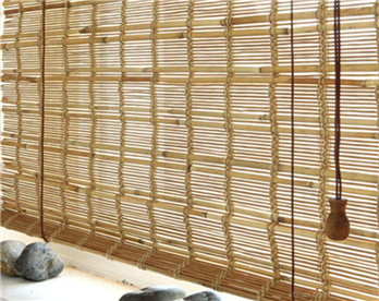 青青草原免费视频